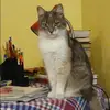 Отзыв от Лидия Полякова